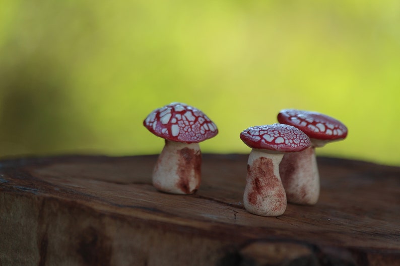 Miniature Mushrooms Ceramic Mushroom Miniature Garden Fairy Etsy
