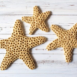 Blue and Gold Starfish Decorative Ceramic Wall Art Tile 8x10 