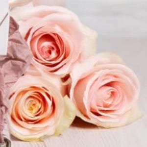 Könnte beinhalten: Drei blassrosa Rosen mit einem weichen, zarten Aussehen. Die Rosen sind zu einem Strauß gebunden und liegen auf einer hellbraunen Holzoberfläche.