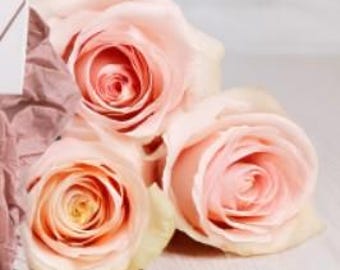 May include: Three pale pink roses with a soft, delicate appearance. The roses are arranged in a bouquet and are lying on a light wood surface.