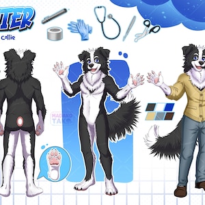 Furry Reference Sheet, Custom Fursona, Fursuit Design, Furry Art Commission, Furry Adopt, OC Character Sheet