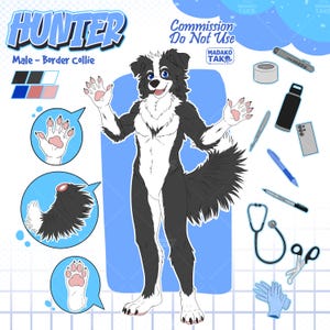 Puede incluir: Una hoja de referencia de personaje digital que muestra un Border Collie antropomórfico en blanco y negro llamado Hunter. La hoja incluye una ilustración de cuerpo completo, detalles de almohadillas, vista de cola, muestras de color y accesorios médicos.