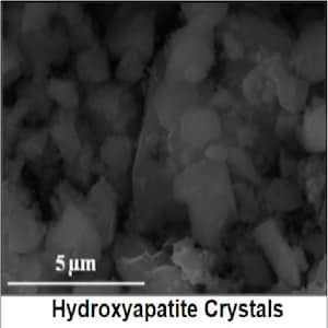 Pure Hydroxyapatite Remineralizing Powder: Oral Health Supplement