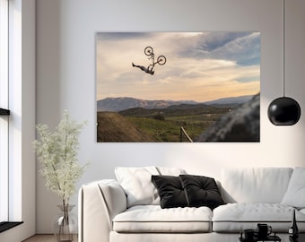 DJ Brandt Superflip: Freeride Mountain Bike Poster