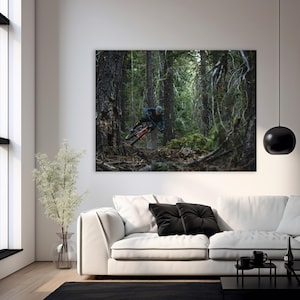 May include: A mountain biker wearing a black and blue outfit rides a black and orange mountain bike through a dense forest. The biker is in mid-air, with the front wheel off the ground.