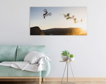 DJ Brandt Flip: Freeride Mountain Biking Art Poster