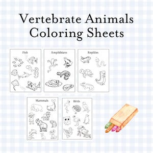 Vertebrate Animals Coloring Sheets | Printable, Digital Download