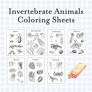 Invertebrate Animals Coloring Sheets | Printable, Digital Download