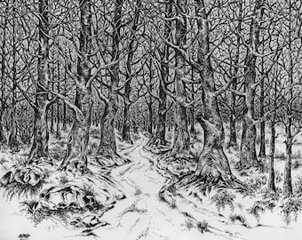 Peut inclure: Illustration en noir et blanc d'une forêt. L'œuvre représente un sentier sinueux à travers une forêt dense d'arbres dénudés, avec des détails complexes dans les branches et les troncs. Le style de dessin rappelle la technique de la plume et de l'encre.