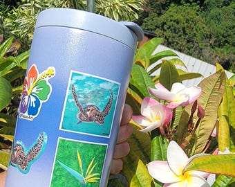 Autocollant en vinyle, Piazza Art, tortue de mer, oiseau de paradis, Nene, oie, hibiscus, arc-en-ciel, découpe, carré, tropical, Kauai, Hawaï