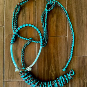 Puede incluir: Un cabezada de cuerda trenzada turquesa y marrón con una bozal de cuerda blanca y una hebilla de metal.