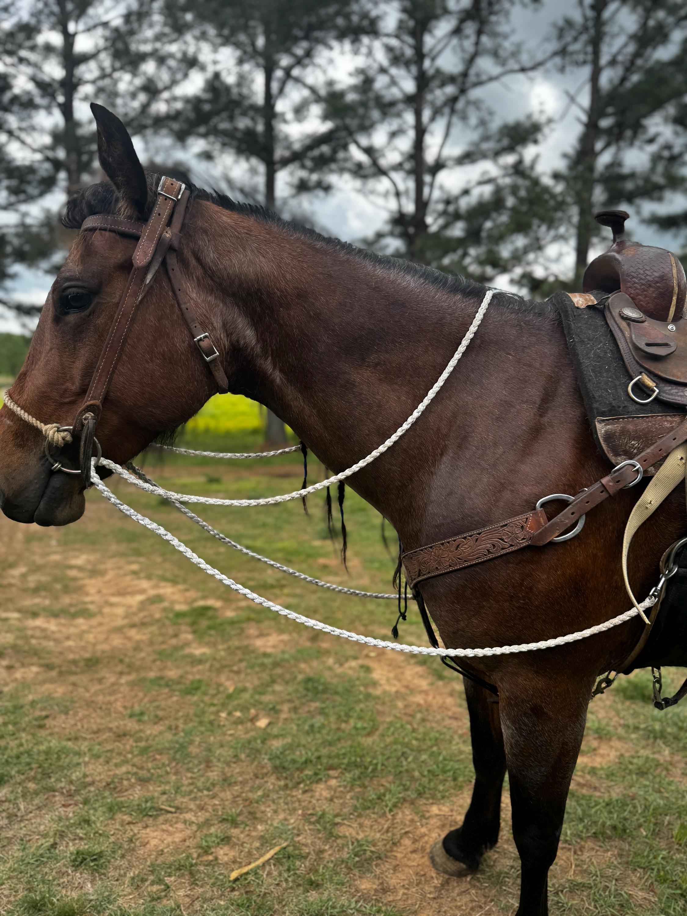 Rênes De Cheval Vaquero Royal King En Corde Tressée – Modèle HREVA1
