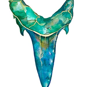 Shark Tooth 16
