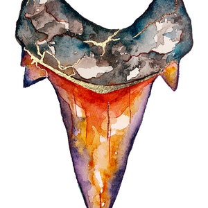 Shark Tooth 17
