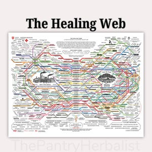 The Healing Web Digitaler Download | Ganzheitliche Gesundheitskarte | Alternativmedizin PDF | Naturheilkunde, Energieheilung, Wellness Guide