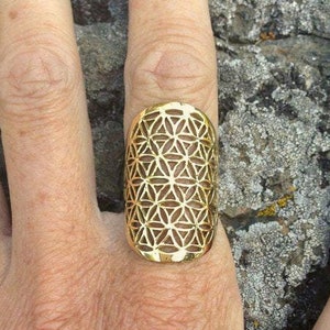 May include: A gold-colored ring with a geometric design. The ring is worn on a finger.
