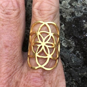 May include: A gold-colored ring with a geometric design, resembling a flower or mandala, on a finger.