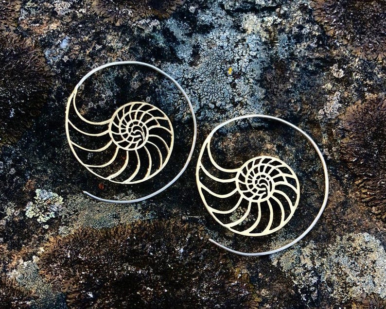 May include: A pair of silver hoop earrings with a nautilus shell design. The earrings are large and have a delicate, intricate design.