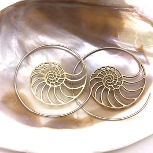 Puede incluir: Un par de pendientes de lat&oacute;n dorado con un dise&ntilde;o de concha de nautilus. Los pendientes son de aro y tienen un dise&ntilde;o delicado e intrincado.