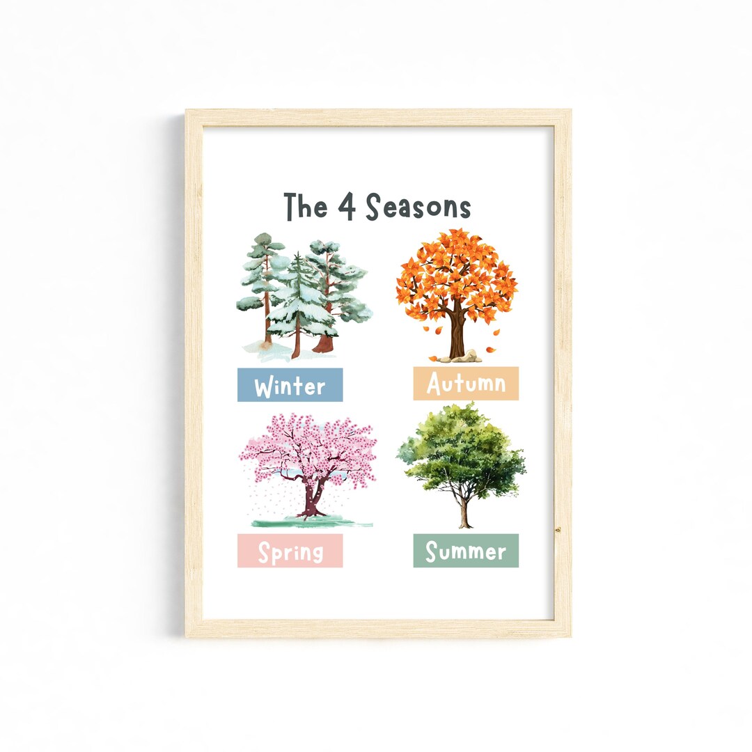 Four Seasons Educational Poster: Classroom & Homeschool Decor (digital ...