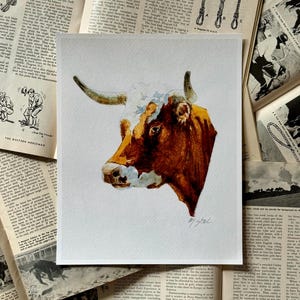 May include: Watercolor painting of a longhorn steer's head. The artwork features a brown and white steer with curved horns, set against a white background. The painting is signed in the lower right corner. The artwork is displayed on a white paper.