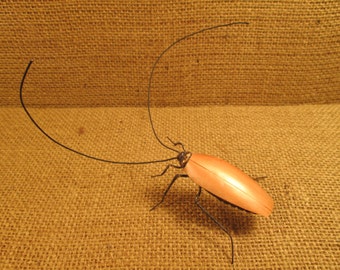 cockroach lifelike