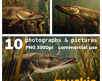 Muskie Fish Photos: Angling & Pike Theme (10 PNG Digital Download)