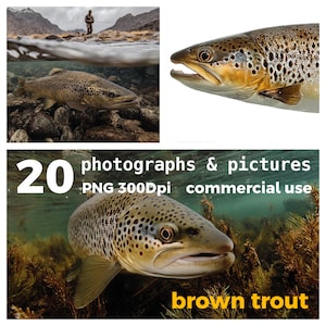 20 Brown Trout Fishing Photos: Angling Theme PNG Clipart (Digital Download)