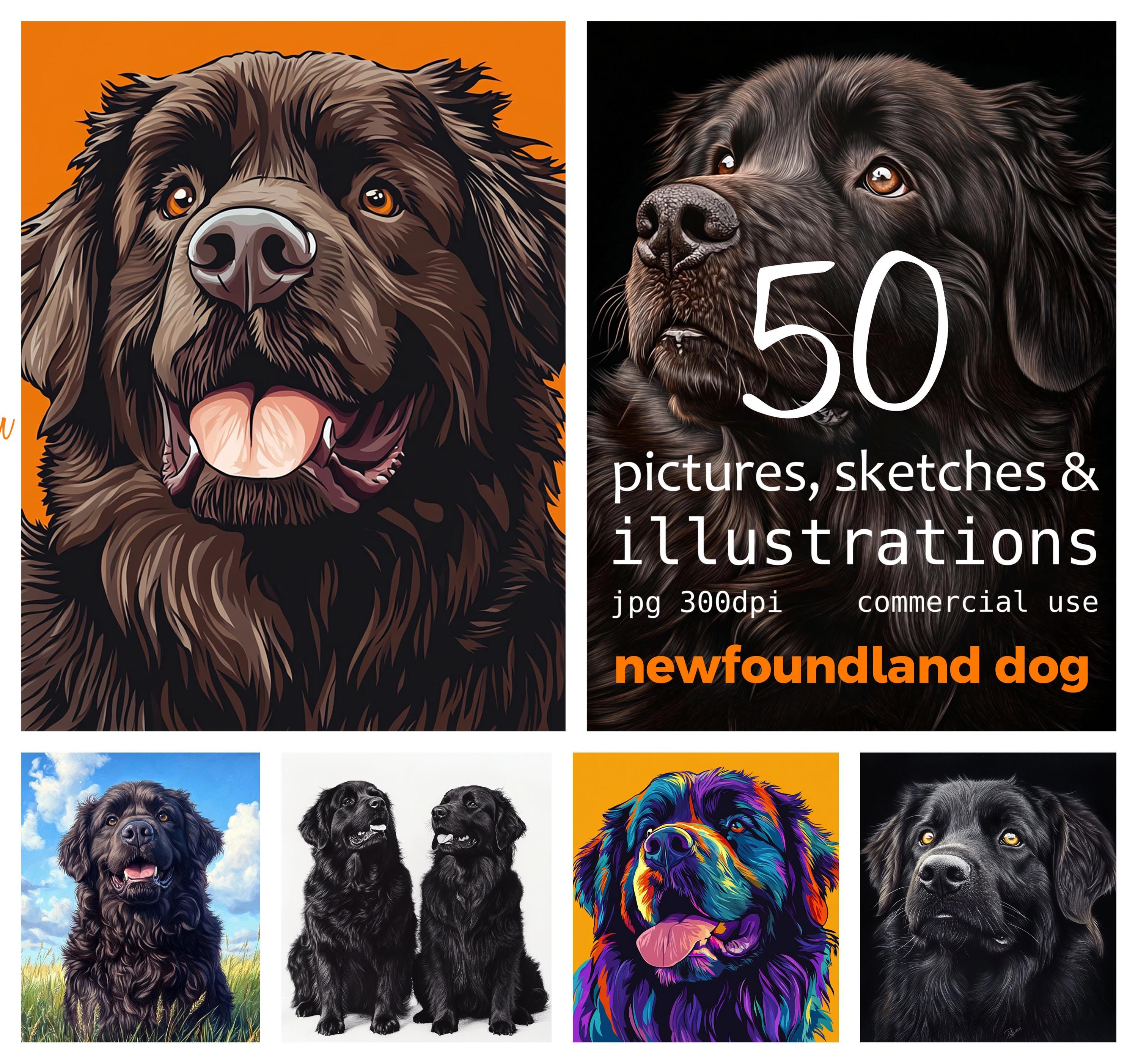 50 ilustracji psów nowofundlandzkich: hiperrealistyczna sztuka
