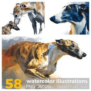 58 illustrations à l'aquarelle PNG de lévrier chien chien course animal de compagnie chien thème numérique Clipart Instant Download
