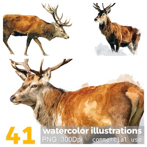 Puede incluir: Ilustraciones en acuarela de ciervos en varias poses. Los ciervos están representados en tonos marrones y tostados, con cornamentas detalladas. La imagen incluye el número "41" en amarillo y el texto "watercolor illustrations" y "commercial use."