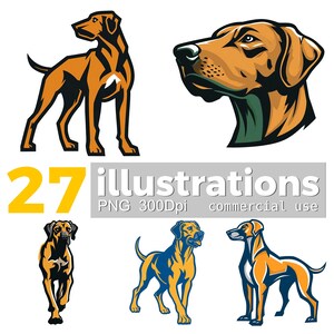 Könnte beinhalten: Eine Sammlung von 27 Hundeillustrationen in verschiedenen Posen und Stilen. Die Hunde sind in Orange, Schwarz und Blau dargestellt, vor einem weißen Hintergrund. Text enthält "27 illustrations PNG 300dpi commercial use."