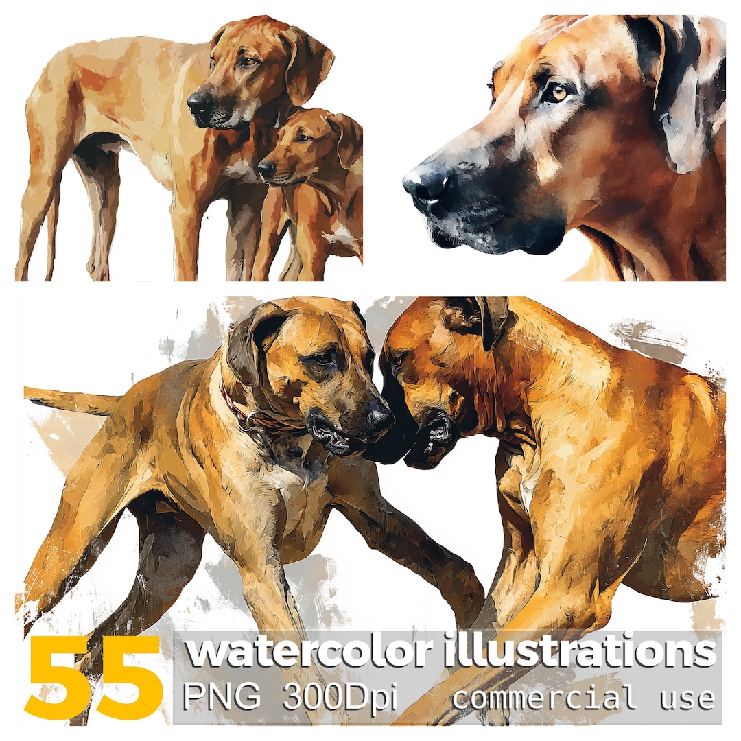 Rhodesian Ridgeback Watercolor Clipart: 55 PNG Dog Illustrations ...