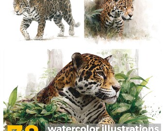 Watercolor Jaguar Clipart: South American Wildlife Illustrations (PNG Digital Download