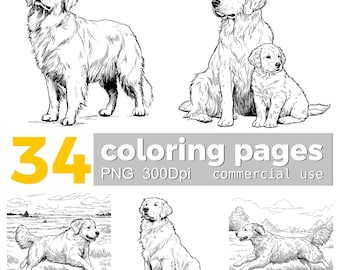 May include: Black and white line art illustrations of Golden Retrievers in various poses. The image includes the text "34 coloring pages PNG 300Dpi commercial use."