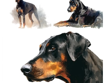 ドーベルマン犬のPNG水彩イラスト62点、ペットの犬をテーマにした