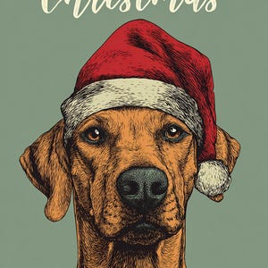 May include: A digital illustration of a dog wearing a red Santa hat, with the words "Merry Christmas" above. The dog has brown fur and a black nose. The words "Christmas Illustrations" are at the bottom.