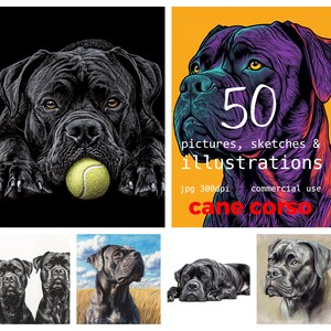 Op de afbeelding: Een verzameling van 50 digitale illustraties van Cane Corso honden in verschillende poses en stijlen. De illustraties zijn in zwart-wit, kleur en een mix van beide. De afbeeldingen zijn van hoge resolutie en perfect voor commercieel gebruik.