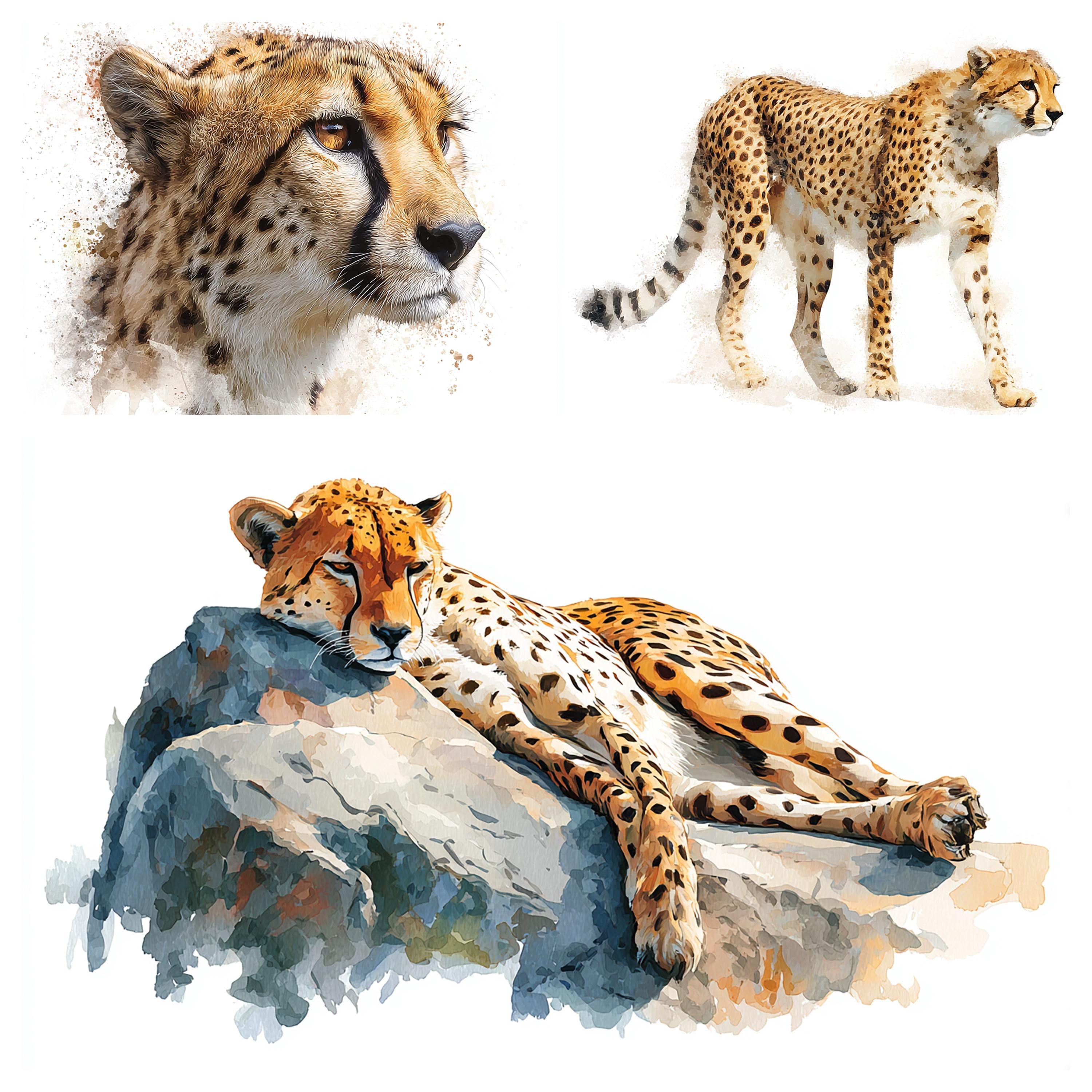 水彩画のチーター クリップアート: 61 x PNG アフリカ野生動物イラスト