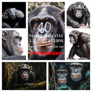 Puede incluir: Una colección de 40 ilustraciones hiperrealistas de chimpancés. Las imágenes están en formato jpg y tienen una resolución de 300 dpi. Son para uso comercial.