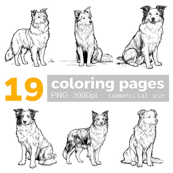 ボーダーコリーのぬり絵：19種類のPNG犬種クリップアート（デジタル