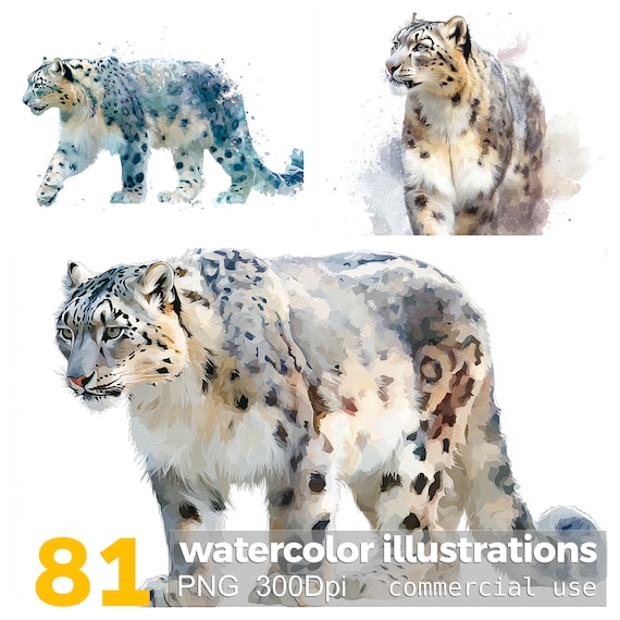 水彩画のユキヒョウのクリップアート：PNG 動物イラスト 81 点（商用