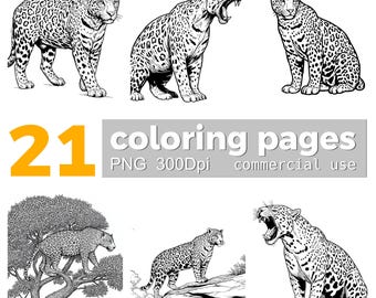 Coloriage Jaguar : Clipart animaux de la forêt tropicale (Téléchargement numérique PNG)