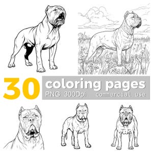 May include: A set of 30 dog coloring pages, each with detailed line art illustrations. The images show different poses of the dog. The number "30" is in yellow, and the text "coloring pages" is in grey.