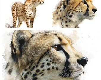 水彩画のチーター クリップアート: 61 x PNG アフリカ野生動物イラスト