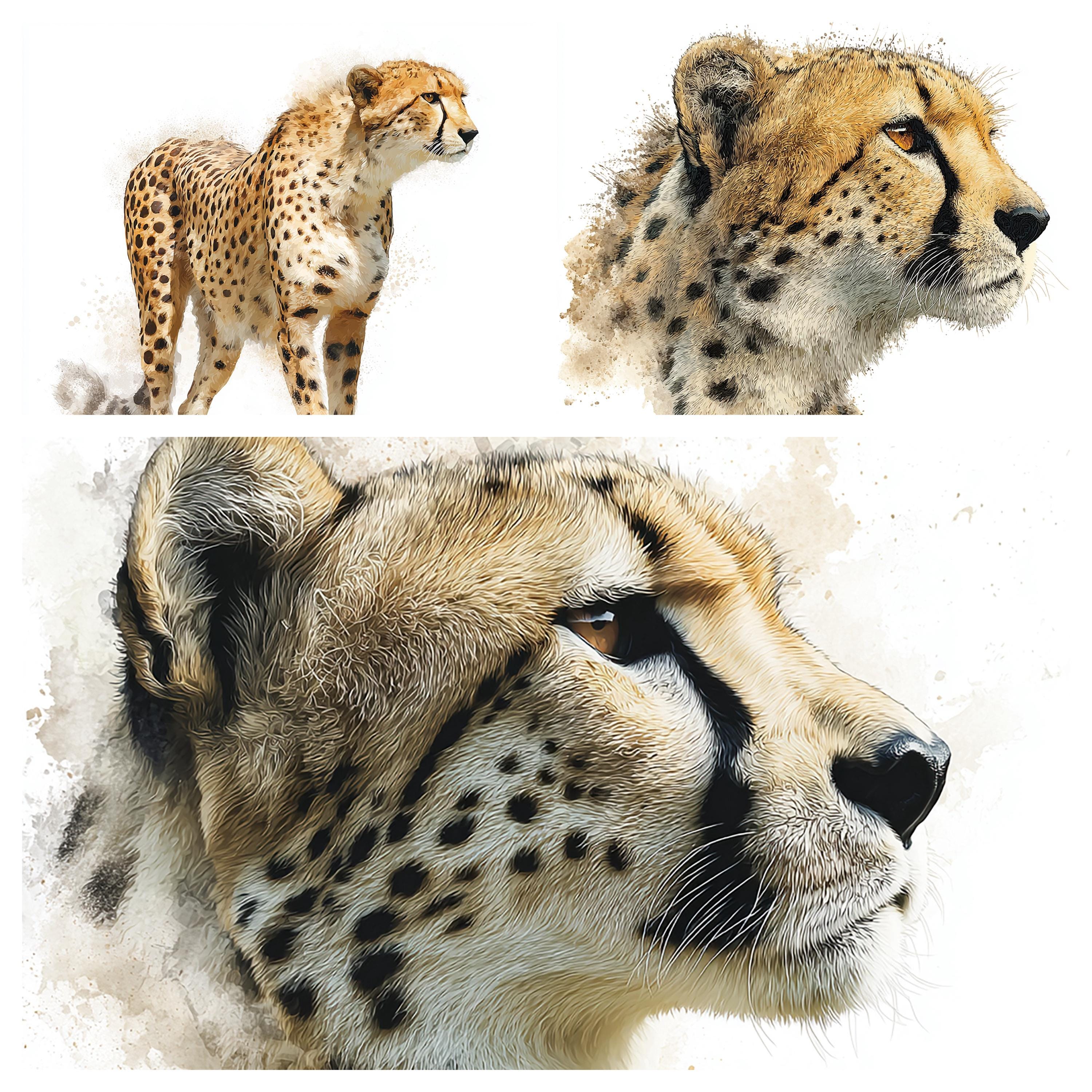 水彩画のチーター クリップアート: 61 x PNG アフリカ野生動物イラスト