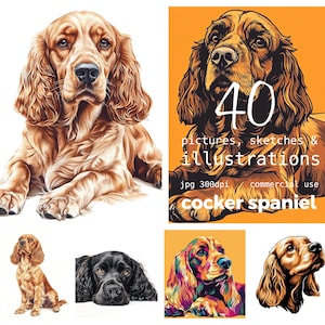40 JPEG Hyper realistic Illustrations pictures of Cocker Spaniel dog pet Commercial Use Digital Paper Instant Download