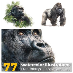 Watercolor Gorilla Clipart: 77 African Wildlife Illustrations (PNG Digital Download)