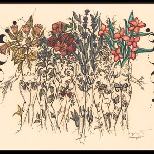 Fine Art Print , Phases of Reflection