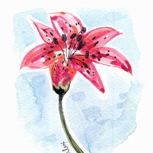 Flower Watercolor Painting - Beautiful Wall Art - Colorful Ink & Wash Wall Art - 8x10 Original Watercolor